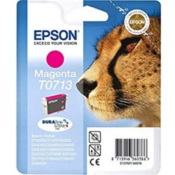 EPST071340