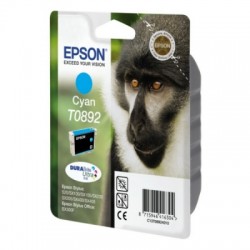 EPST08924020