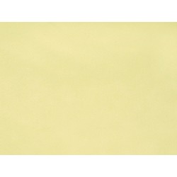 FELT4060H2C02