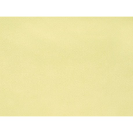 FELT4060H2C02