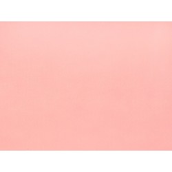 FELT4060H2C11