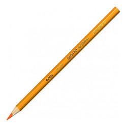 GI239010