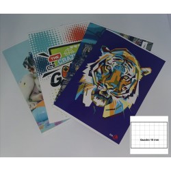 Quaderno maxi one color per disgrafia gr.100 mod.10mm+doppio spazio 7044 -  Nadir Cancelleria