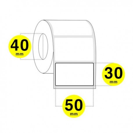 FINCV503040