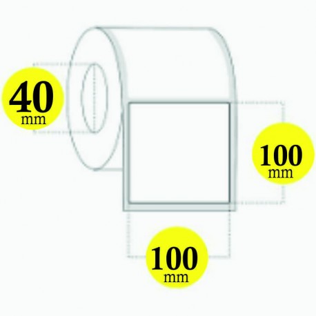 FINCV10010040
