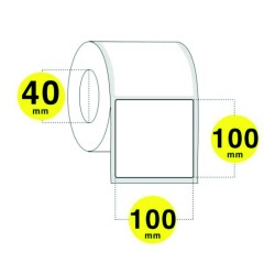 FINT10010040