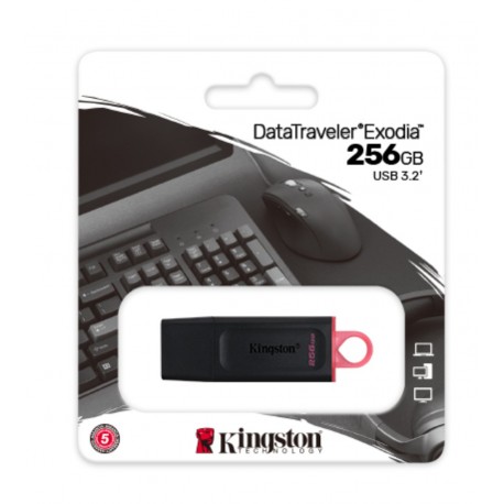 KINGDTX256GB