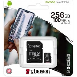 KINGSDCS2256GB