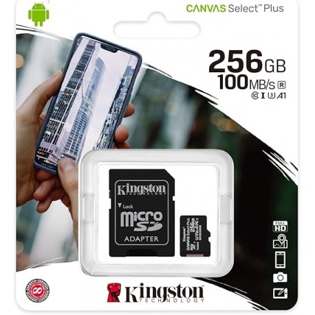 KINGSDCS2256GB