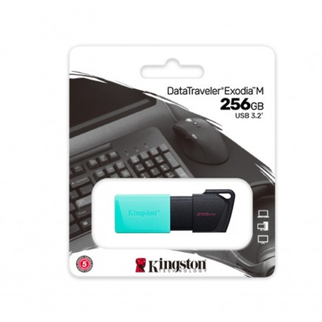 KINGDTXM256GB